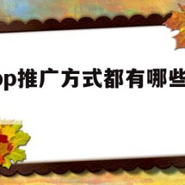 app推广方式都有哪些内容(app推广方式都有哪些内容呢)