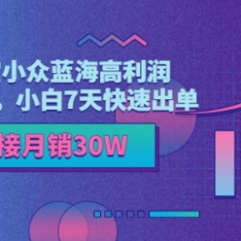 2022淘宝小众蓝海高利润选品方法，小白7天快速出单，单款链接月销30W