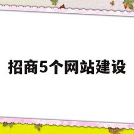 招商5个网站建设(招商网站平台有哪些)