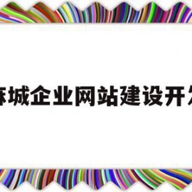 麻城企业网站建设开发(麻城企业网站建设开发公司)