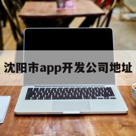 沈阳市app开发公司地址的简单介绍