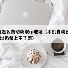 手机怎么自动获取ip地址（手机自动获取ip地址仍然上不了网）