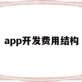 app开发费用结构(app开发费用预算表)