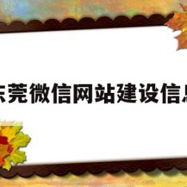 东莞微信网站建设信息(东莞微信网站建设信息公开)