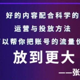 张sir账号流量增长课，告别海王流量，让你的流量更精准