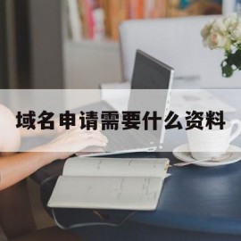 域名申请需要什么资料的简单介绍