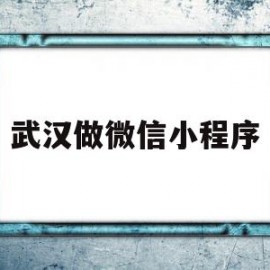 武汉做微信小程序(在武汉做一个小程序)