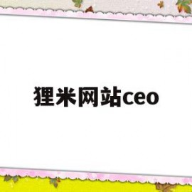 狸米网站ceo(狸米网校百度百科)