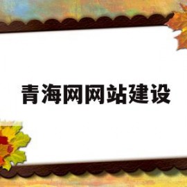 青海网网站建设(青海网院网络平台)