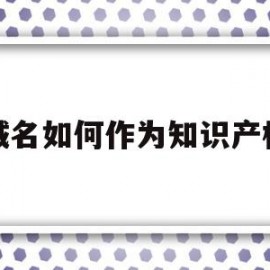 域名如何作为知识产权(域名是知识产权的客体吗)