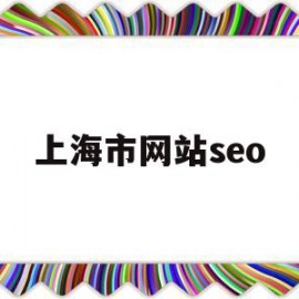 上海市网站seo(上海市网站设计公司)