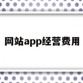 网站app经营费用(网站app经营费用包括哪些)