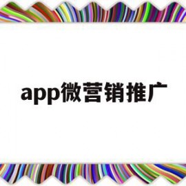 app微营销推广(app营销推广方案模板)