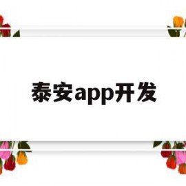 泰安app开发(泰安app软件开发招聘)