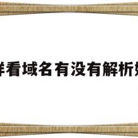 怎样看域名有没有解析好了(怎样看域名有没有解析好了呢)