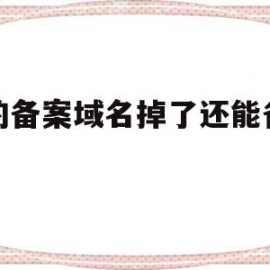 买的备案域名掉了还能备案吗(买的备案域名掉了还能备案吗怎么办)