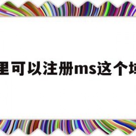 哪里可以注册ms这个域名(哪里可以申请域名)