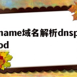 name域名解析dnspod(name域名解析)