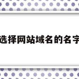 选择网站域名的名字(选择网站域名的名字是什么)