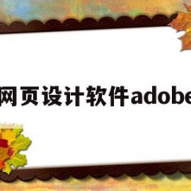 网页设计软件adobe(网页设计软件visual)