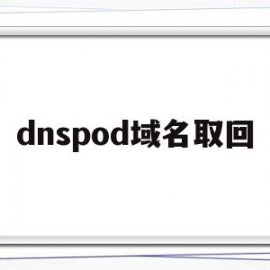 dnspod域名取回(域名dns更改怎么变回来)