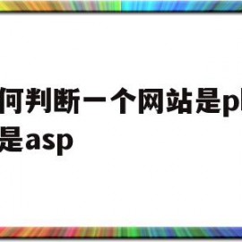 关于如何判断一个网站是php还是asp的信息