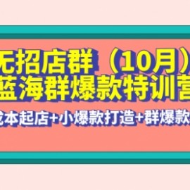 无招店群·蓝海群爆款特训营(10月新课) 低成本起店