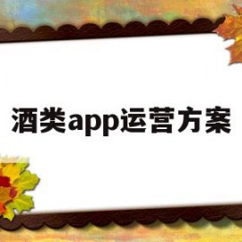 酒类app运营方案(酒类app运营方案怎么写)