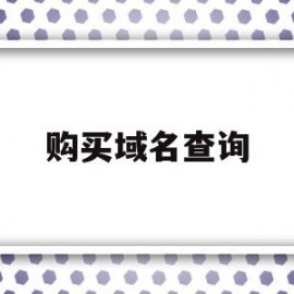 购买域名查询(域名购买记录查询)