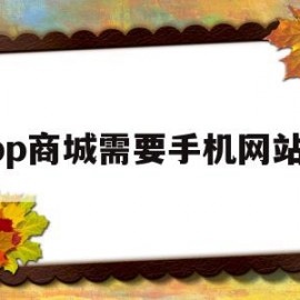 app商城需要手机网站吗(app上应用商店需要什么手续)