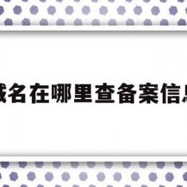 域名在哪里查备案信息(如何查域名备案信息查询)