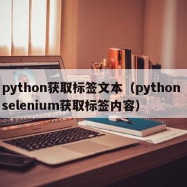 python获取标签文本（python selenium获取标签内容）