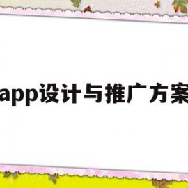 app设计与推广方案(app设计与推广方案怎么写)