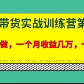 宅男·知乎带货实战训练营第4期：批量去做，一个月收益几万 十几万