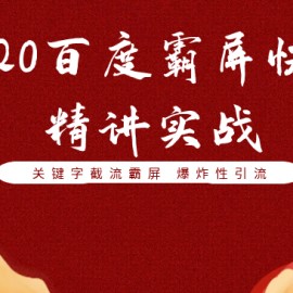 2020百度霸屏快排精讲实战，关键字截流霸屏 爆炸性引流