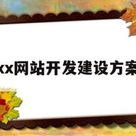 xx网站开发建设方案(网站开发建设的基本流程)