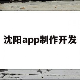 沈阳app制作开发(沈阳app制作开发招聘)