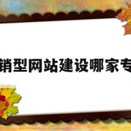 营销型网站建设哪家专业的简单介绍