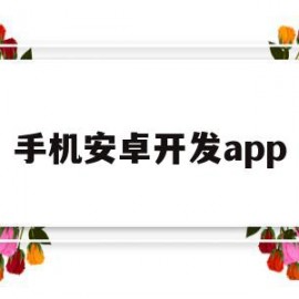 手机安卓开发app(手机安卓开发者选项在哪里)