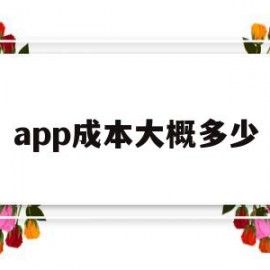 app成本大概多少(app成本大概多少合适)