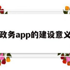 政务app的建设意义(政务app的建设意义和目的)