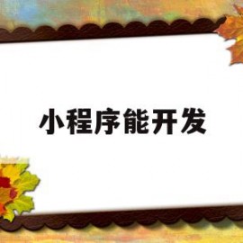 小程序能开发(小程序能开发自己店内的优惠券用于微信支付码)