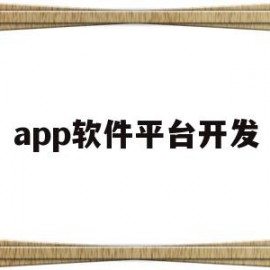 app软件平台开发(app开发平台包括哪些)