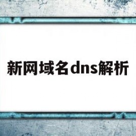 新网域名dns解析(新网域名dns解析异常)