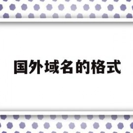 国外域名的格式(国外域名信息查询)