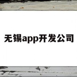 无锡app开发公司(无锡app开发公司有哪些)