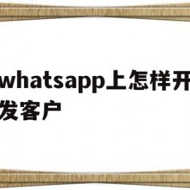 whatsapp上怎样开发客户(whatsapp开发客户话术)