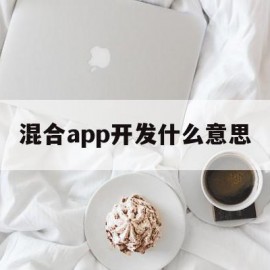 混合app开发什么意思(混合app开发什么意思呀)