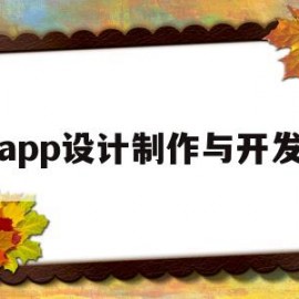 app设计制作与开发(app开发设计方案)