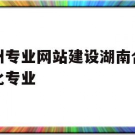 永州专业网站建设湖南合推文化专业的简单介绍